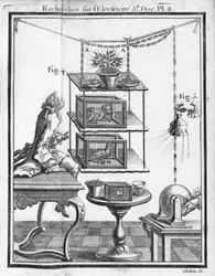 Experimenting with Electricity, Plate from 